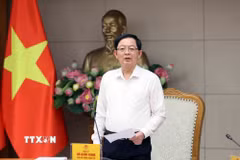 Phó Thủ tướng Hồ Quốc Dũng. (Ảnh: An Đăng/TTXVN)
