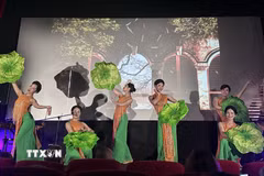 Tiết mục múa với hình tượng hoa sen do các nghệ sỹ Nhà hát Ca, Múa, Nhạc Quốc gia Việt Nam biểu diễn tại chương trình “Đón Trăng-Trung Thu Việt Nam 2026” ở Nice, miền Nam nước Pháp, ngày 20/9. (Ảnh: TTXVN phát)