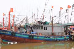 Dù đối mặt với nhiều khó khăn do giá nguyên liệu tăng, phần lớn ngư dân xã Rạng Đông, tỉnh Ninh Bình, vẫn nỗ lực duy trì hoạt động khai thác. (Ảnh: Thùy Dung/TTXVN)