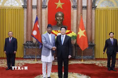 Chủ tịch nước Lương Cường với Đại sứ Cộng hòa Gabon tại Việt Nam Baudelaire Ndong Ella trình Quốc thư. (Ảnh: Lâm Khánh/TTXVN)