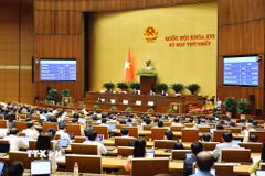 Các đại biểu biểu quyết thông qua Luật Tín ngưỡng, tôn giáo (sửa đổi). (Ảnh: Minh Đức/TTXVN)
