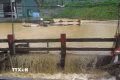 Nước lũ dâng cao tại các ngầm tràn, khe suối tại khu vực Cầu Sập, tổ 4 Duyên Hải, phường Lào Cai. (Ảnh: Hương Thu/TTXVN)