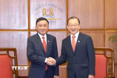 Thường trực Ban Bí thư Trần Cẩm Tú tại Nhà Quốc hội Singapore. (Ảnh: Phương Hoa/TTXVN)
