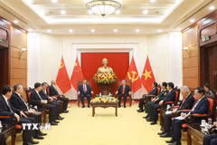 Tổng Bí thư Tô Lâm gặp hẹp Tổng Bí thư, Chủ tịch nước Trung Quốc Tập Cận Bình. (Ảnh: Doãn Tấn/TTXVN)