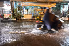 Nước dâng do mưa và triều cường, nguy cơ nước tràn vào nhà dân tối 30/9 trên đường Bình Quới, phường Bình Quới. (Ảnh: Hồng Đạt/TTXVN)
