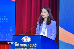Thứ trưởng Bộ Ngoại giao Nguyễn Minh Hằng. (Ảnh: TTXVN)