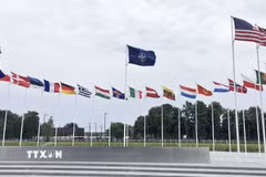 Cờ NATO và quốc kỳ các nước thành viên bên ngoài trụ sở liên minh quân sự ở Brussels, Bỉ. (Ảnh: AA, Kyodo/TTXVN phát)
