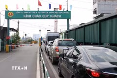 Các phương tiện xếp hàng chờ qua phà Cát Lái, hướng từ thành phố Đồng Nai về Thành phố Hồ Chí Minh. (Ảnh: Tiến Lực/TTXVN)
