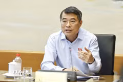 Thủ tướng Lê Minh Hưng, đại biểu Quốc hội thành phố Hải Phòng phát biểu. (Ảnh: Doãn Tấn/TTXVN)