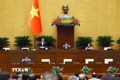 Phó Chủ tịch Quốc hội Nguyễn Hồng Diên phát biểu. (Ảnh: Doãn Tấn/TTXVN)