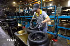 Sản xuất sản phẩm lốp xe máy ở nhà máy của Công ty Trách nhiệm hữu hạn Cao su CAMEL Việt Nam, 100% vốn Thái Lan tại khu kinh tế Cửa khẩu quốc tế Lao Bảo, tỉnh Quảng Trị. (Ảnh: Vũ Sinh/TTXVN)