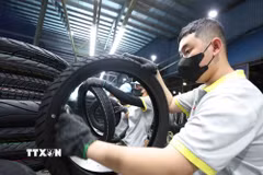 Sản xuất sản phẩm lốp xe máy ở nhà máy của Công ty Trách nhiệm hữu hạn Cao su CAMEL Việt Nam, 100% vốn Thái Lan tại khu kinh tế Cửa khẩu quốc tế Lao Bảo, tỉnh Quảng Trị. (Ảnh: Vũ Sinh/TTXVN)