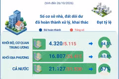 Cả nước đã xử lý, khai thác khoảng 67% cơ sở nhà, đất dôi dư