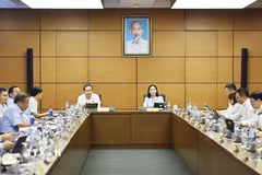 Chủ tịch Quốc hội Trần Thanh Mẫn, đại biểu Quốc hội Thành phố Hồ Chí Minh phát biểu. (Ảnh: Doãn Tấn/TTXVN)