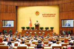 Quang cảnh phiên họp. Ảnh: Doãn Tấn/TTXVN)