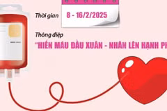 Số lượng đơn vị máu tiếp nhận được qua các Lễ hội Xuân hồng.