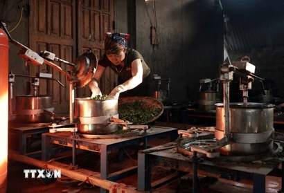 Hợp tác xã Nông sản Liên Minh, tỉnh Thái Nguyên, ổn định việc làm cho hàng trăm hội viên. (Ảnh: Trần Việt/TTXVN)