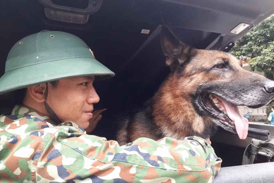 Chó nghiệp vụ được triển khai tham gia công tác tìm kiếm những người còn mất tích. (Ảnh: Đoàn Hữu Trung/TTXVN)