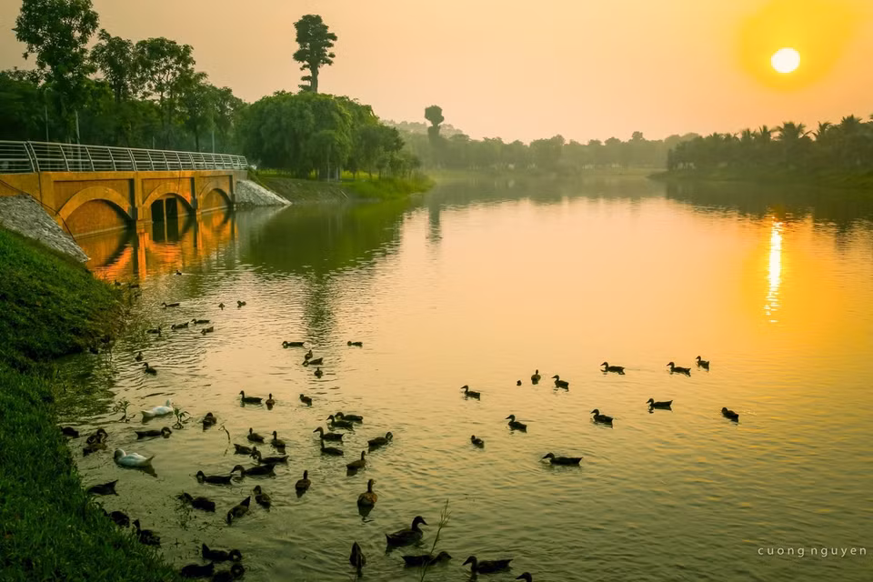 Ecopark là thành phố xanh lớn nhất Việt Nam. Tuy nhiên, không nhiều người biết tại khu đô thị chỉ cách hồ Hoàn Kiếm 14km này là nơi hàng nghìn cá thể chim tìm về làm tổ. Hàng ngày những đàn thiên nga, vịt trời đi lại tự do trong khu đô thị. 