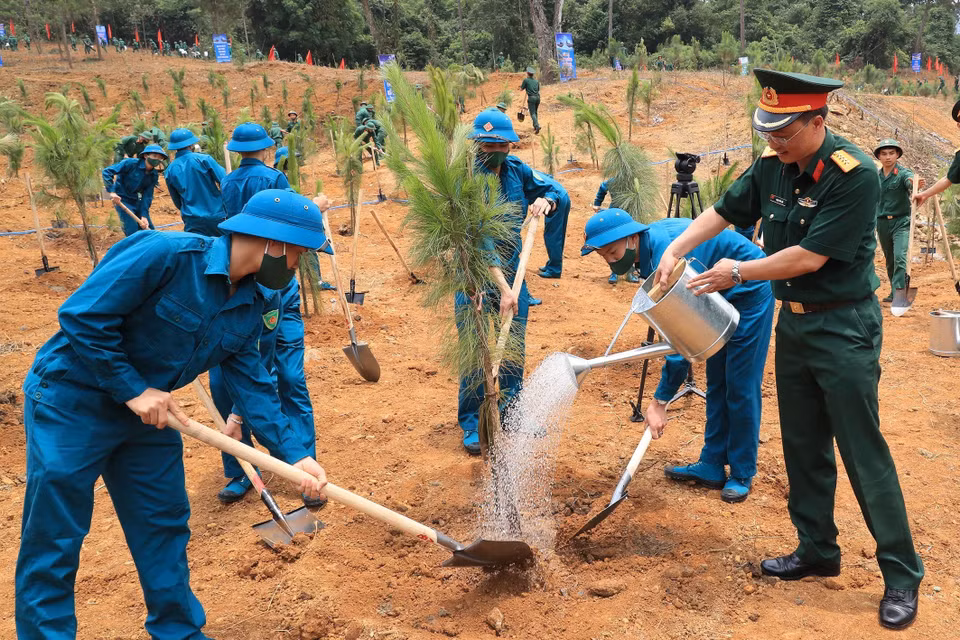 Các lực lượng tham gia trồng cây. (Ảnh: Trọng Đức/TTXVN)