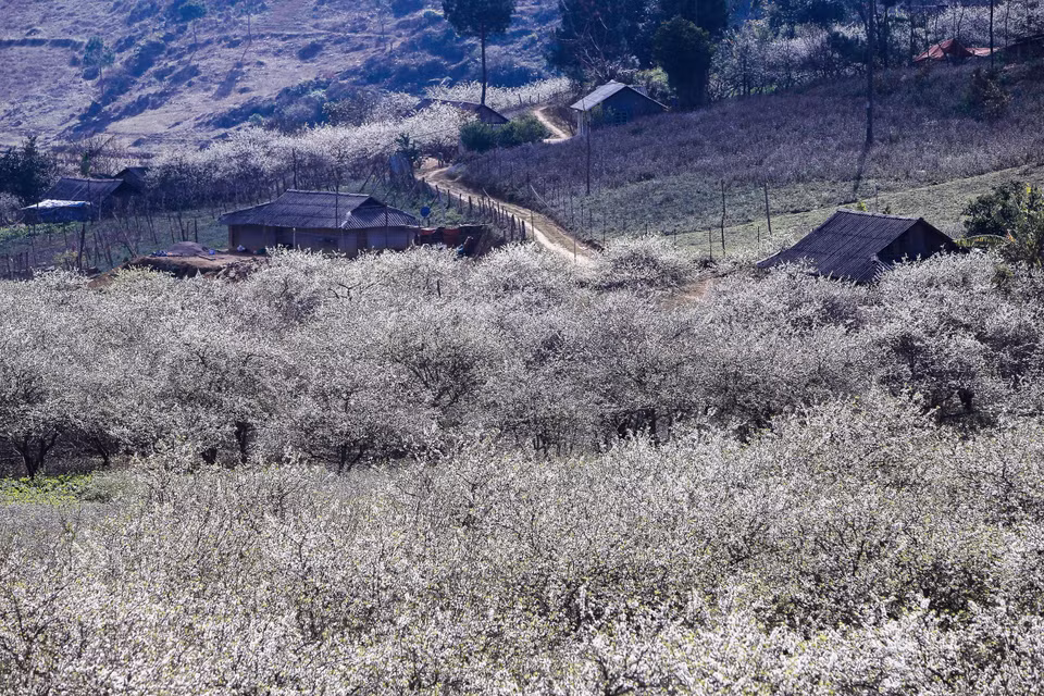  (Ảnh: Vietnam+)