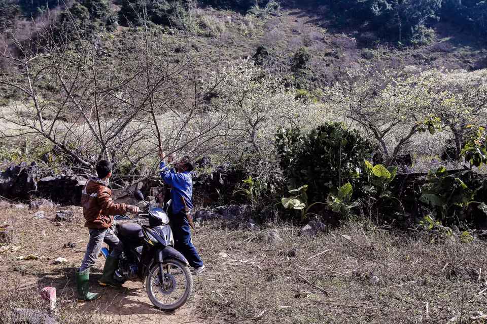  (Ảnh: Vietnam+)