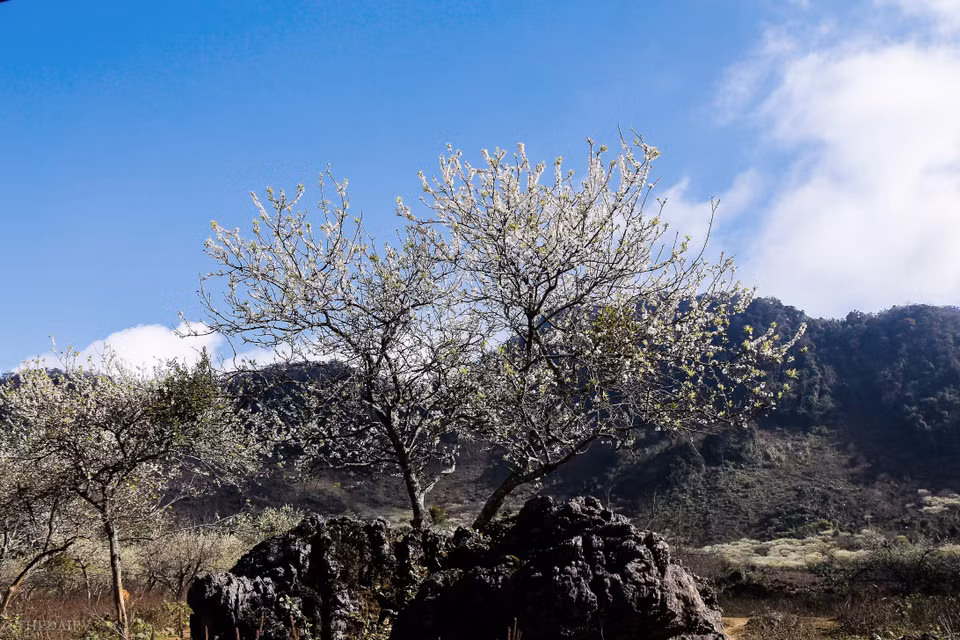  (Ảnh: Vietnam+)