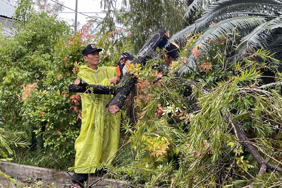 Lực lượng chức năng thu dọn cây cối ngã đổ trên đường. (Ảnh: Trần Tĩnh/TTXVN)