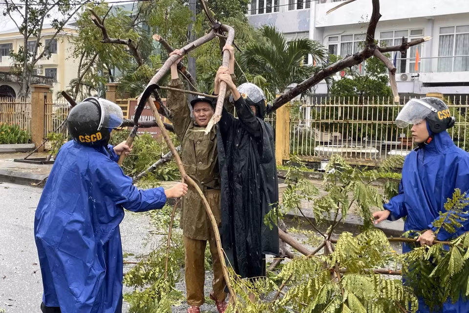 Lực lượng chức năng thu dọn cây cối ngã đổ trên đường. (Ảnh: Trần Tĩnh/TTXVN)
