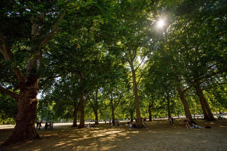 Người dân tránh nắng nóng tại một công viên ở London, Anh khi nhiệt độ lên cao kỷ lục trên 40 độ C, ngày 19/7. (Nguồn: THX/TTXVN)