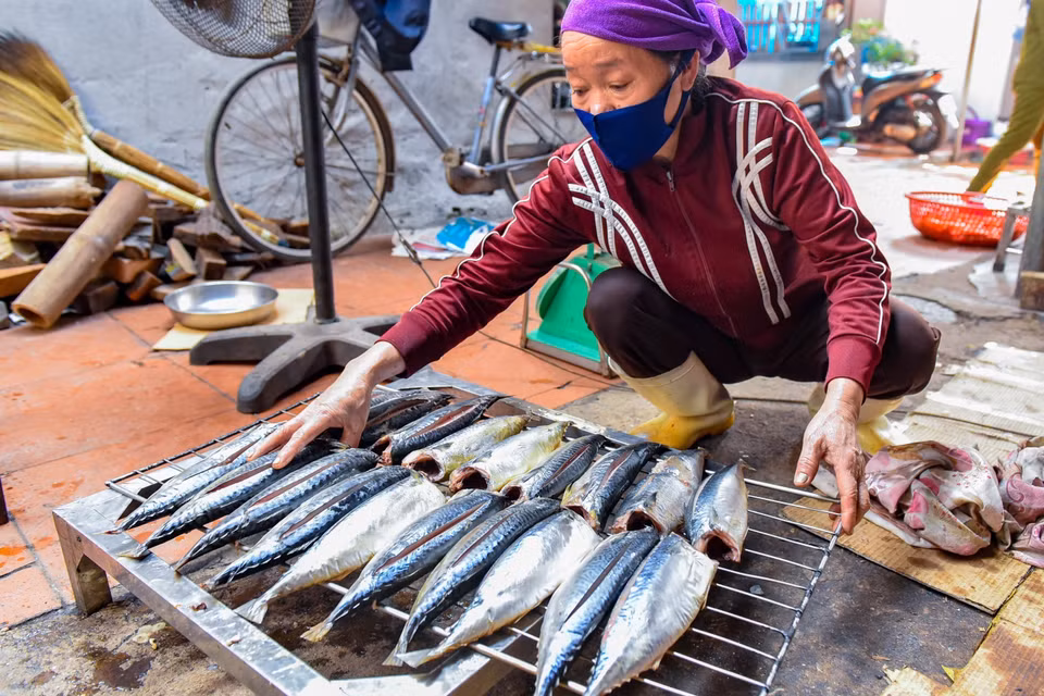 Cá sau khi được giã đông tự nhiên sẽ được xẻ thành lát, phơi ra ánh nắng cho ráo nước, sau đó được xếp lên các giàn và đưa lên lò nướng dưới than hoa. (Ảnh: TTXVN phát)
