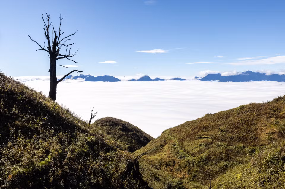 Nằm ở độ cao 2.826m so với mực nước biển, Lảo Thẩn thuộc thôn Phìn Hồ (Y Tý, Bát Xát, Lào Cai). Lảo Thẩn còn được biết đến với những tên gọi khác như: Hâu Pông San hay Nhìu Cồ San bố và được mệnh danh là “nóc nhà Y Tý”. (Ảnh: Nguyễn Anh chiêm/Vietnam+)