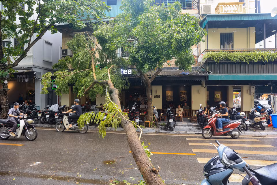 Quán kinh doanh đồ uống số 26 Đường Thành (Cửa Đông, Hoàn Kiếm, Hà Nội) cũng bị cây xanh đổ vào cửa quán. (Ảnh: Hoài Nam/Vietnam+)