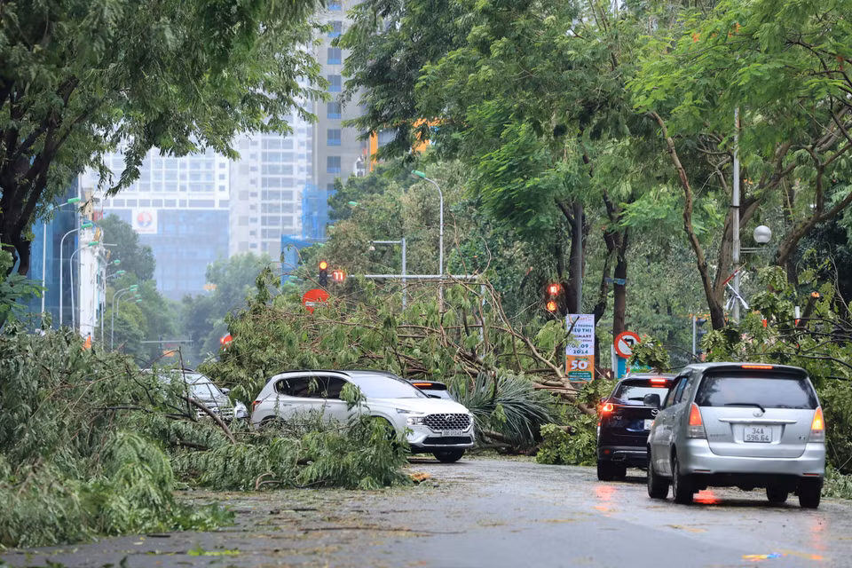 Khu vực đường Hoàng Minh Giám, cây đổ khiến phương tiện di chuyển khó khăn. (Ảnh: Hoài Nam/Vietnam+)
