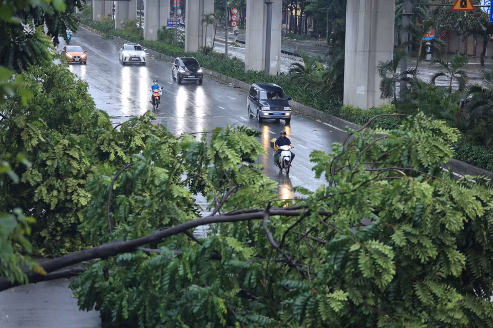 Đoạn hầm chui Thanh Xuân, nhiều cây lớn đổ chắn ngang 2 làn đường. (Ảnh: Hoài Nam/Vietnam+)