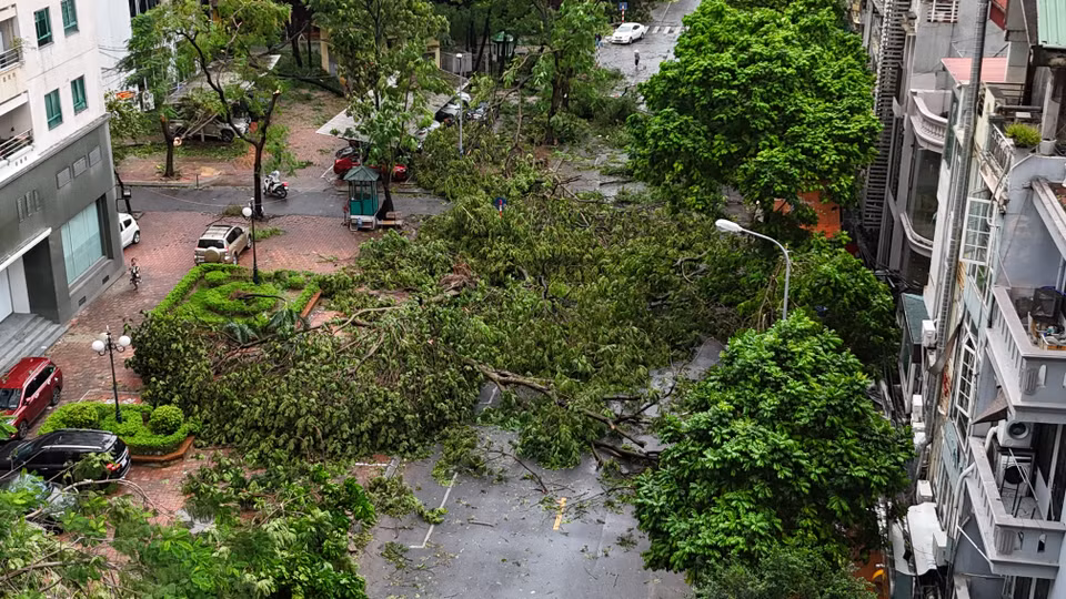 Nhiều cây đổ chắn hoàn toàn phần đường phố Nguyễn Thị Định. (Ảnh: Hoài Nam/Vietnam+)