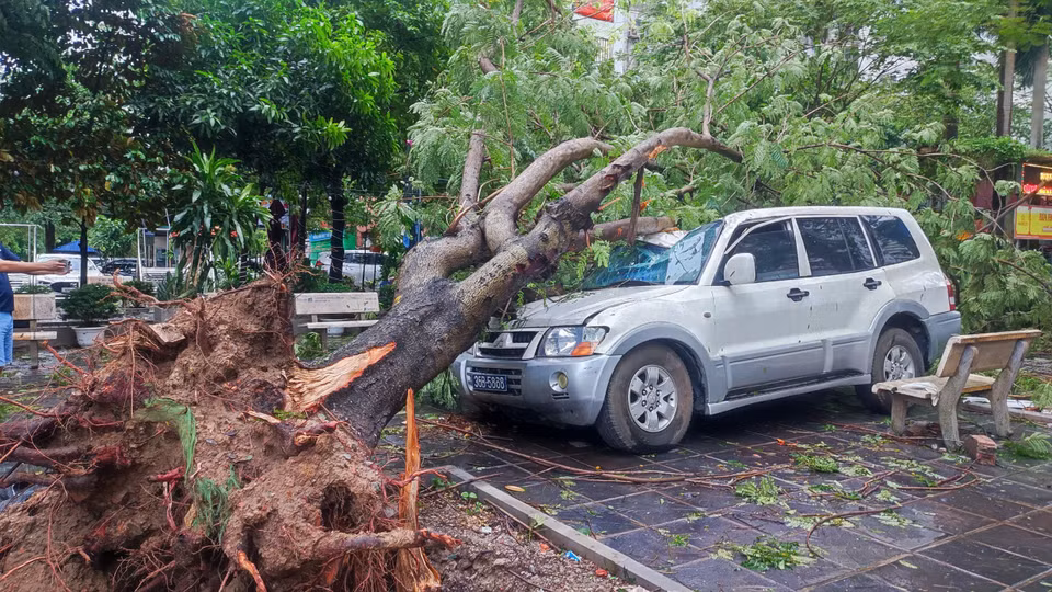 Cây xanh bật gốc làm hư hại nhiều ô tô trên các tuyến phố. (Ảnh: Hoài Nam/Vietnam+)