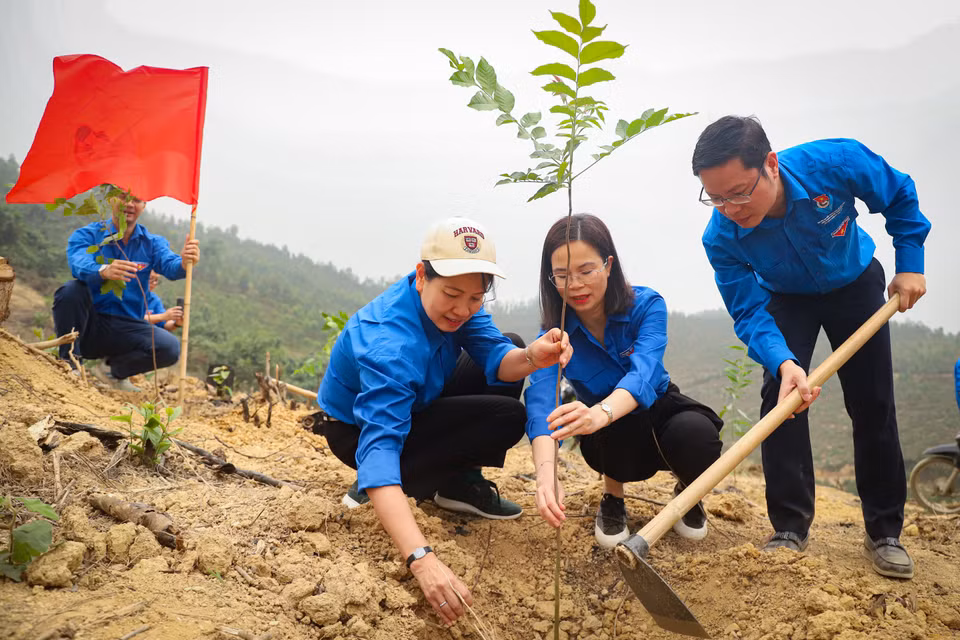 Ban giám đốc và Bí thư đoàn công ty Lâm Nghiệp Việt Nam chia sẻ: ‘Trồng rừng không chỉ là nhiệm vụ mà còn là trách nhiệm của chúng tôi hướng tới duy trì và bảo vệ tài nguyên rừng.’ (Ảnh: Hoài Nam/Vietnam+)