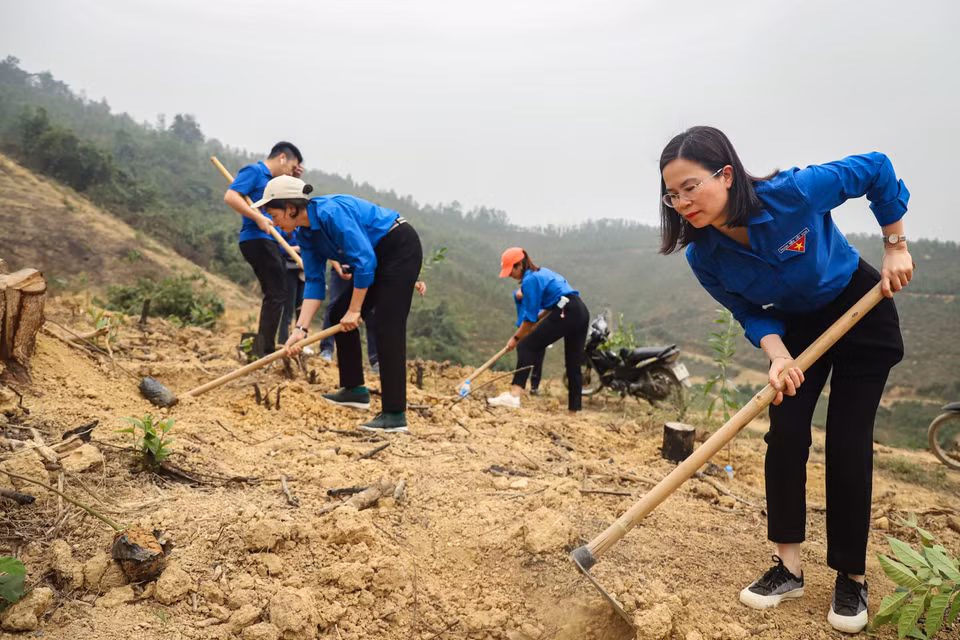 Lễ phát động trồng rừng không chỉ góp phần phủ xanh thêm những quả đồi trọc mà còn tuyên truyền nhận thức cho người dân về sự quan trọng của rừng trong bảo vệ môi trường. (Ảnh: Hoài Nam/Vietnam+)