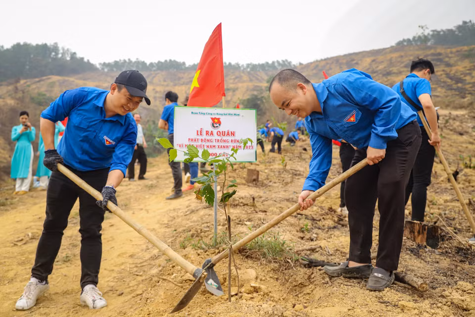Nhiều năm xã Lâm Sơn duy trì mức che phủ rừng gần 60% diện tích đồi núi nhờ sự phối hợp của Tổng công ty Lâm Nghiệp Việt Nam và Công ty Lâm Nghiệp Hòa Bình. (Ảnh: Hoài Nam/Vietnam+)