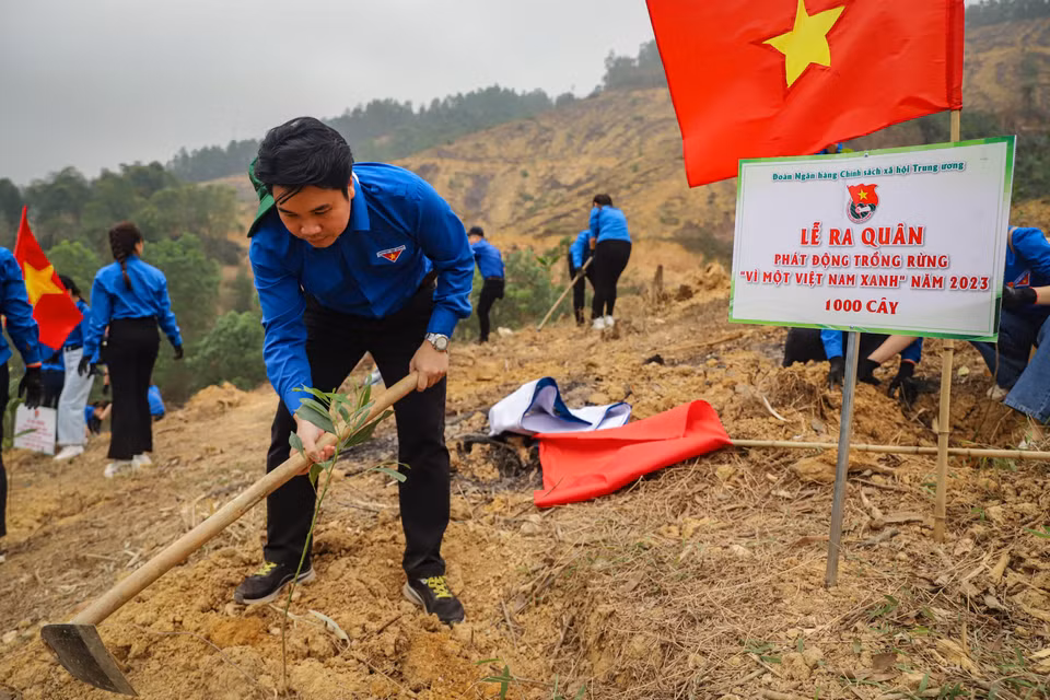 Đoàn Thanh niên Ngân hàng Chính sách xã hội Trung ương hào hứng tham gia hoạt động ý nghĩa này. (Ảnh: Hoài Nam/Vietnam+)