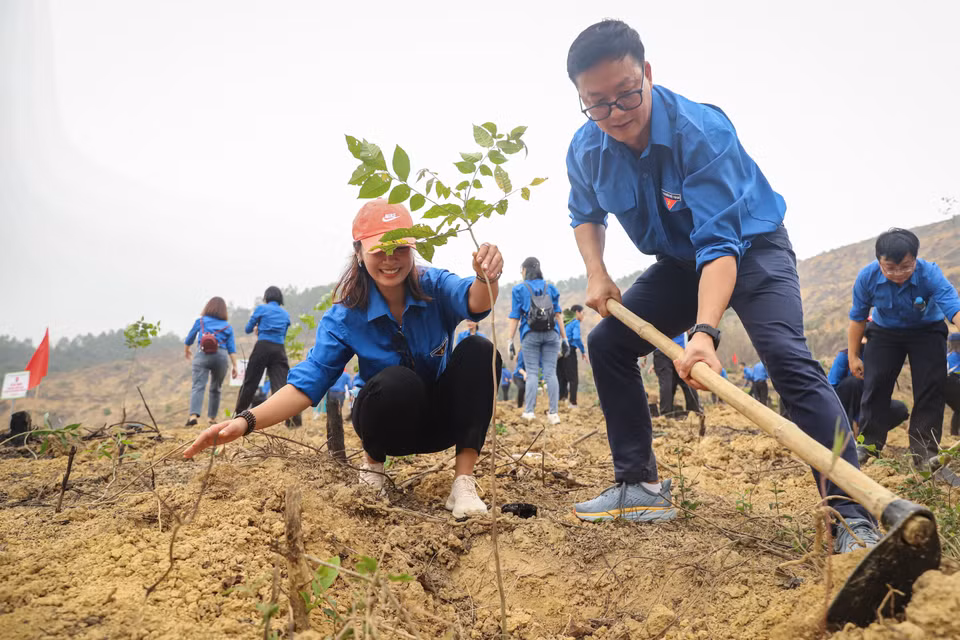 Các Đoàn Thanh niên từ khối Doanh nghiệp Trung ương hào hứng tham gia phong trào trồng rừng tại xã Lâm Sơn (Lương Sơn, Hòa Bình). (Ảnh: Hoài Nam/Vietnam+)