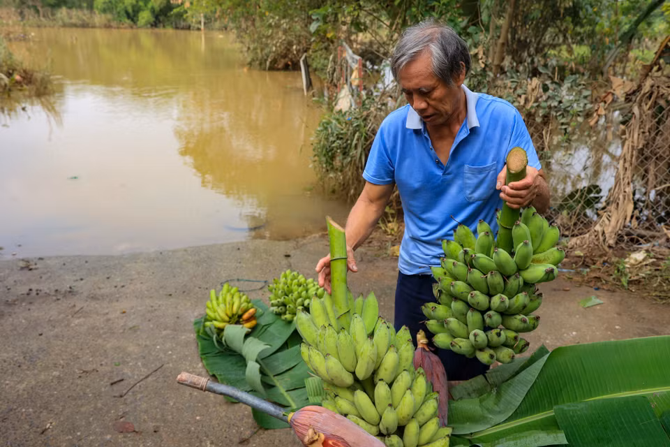 Việc vận chuyển nông sản của người dân trồng trên đất là rất khó khăn. (Ảnh: Hoài Nam/Vietnam+)