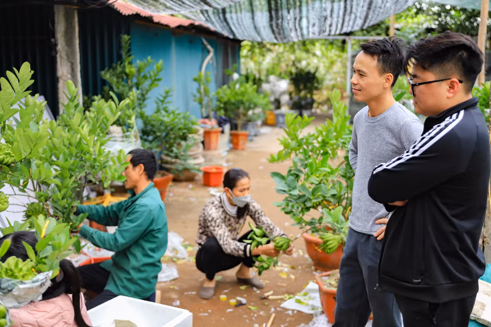 Không ít các‘thượng đế’ sẵn sàng bỏ ra vài triệu để sở hữu một chậu cây cảnh độc đáo và mang ý nghĩa này. (Ảnh: Hoài Nam/Vietnam+)
