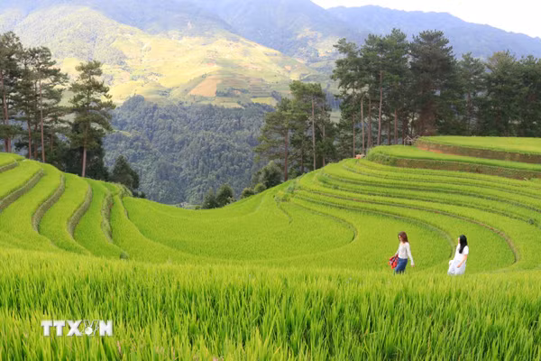 Lào Cai-Tuyên Quang: Nối những miền di sản thành một hành trình