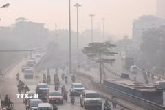 (Ảnh minh họa: TTXVN)