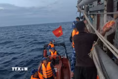 Ảnh minh họa. (Nguồn: Xuân Quý/TTXVN)