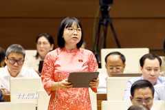 Đại biểu Quốc hội thành phố Hải Phòng Nguyễn Thị Việt Nga phát biểu. (Ảnh: Doãn Tấn/TTXVN)