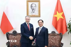 Phó Thủ tướng Bùi Thanh Sơn tiếp Phó Thủ tướng, Bộ trưởng Kỹ thuật số Cộng hòa Ba Lan Krzysztof Gawkowski. (Ảnh: An Đăng/TTXVN)