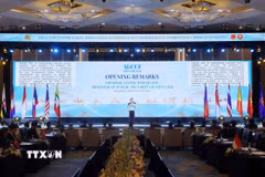Hội nghị lãnh đạo cơ quan thực thi pháp luật các nước ASEAN về hợp tác đấu tranh với tội phạm truy nã. (Ảnh: Phạm Kiên/TTXVN)